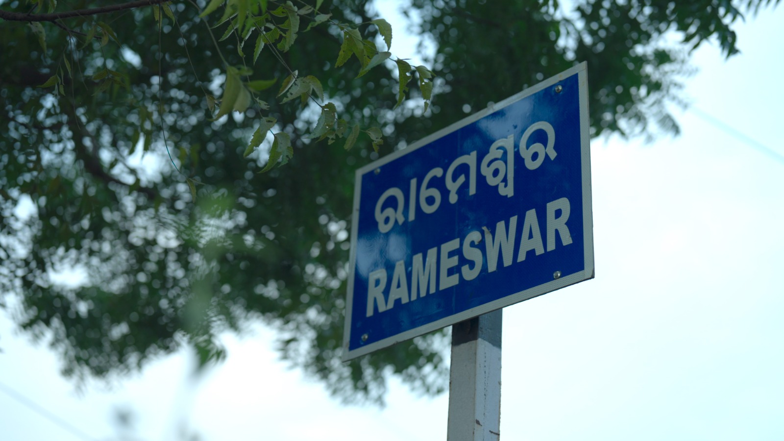 Birth of a Visionary - 1